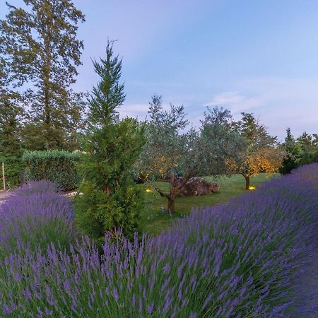 Villa Kate Istria Žminj Eksteriør billede