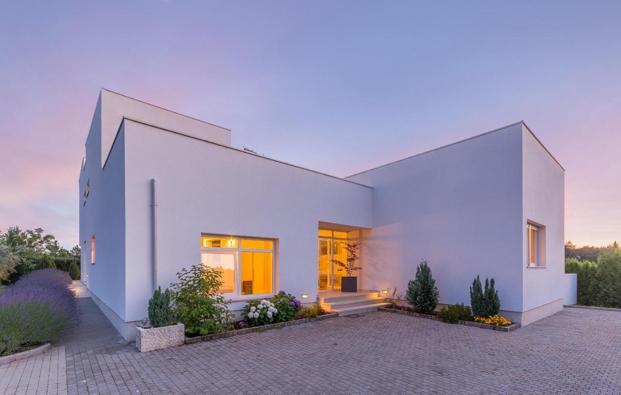 Villa Kate Istria Žminj Eksteriør billede