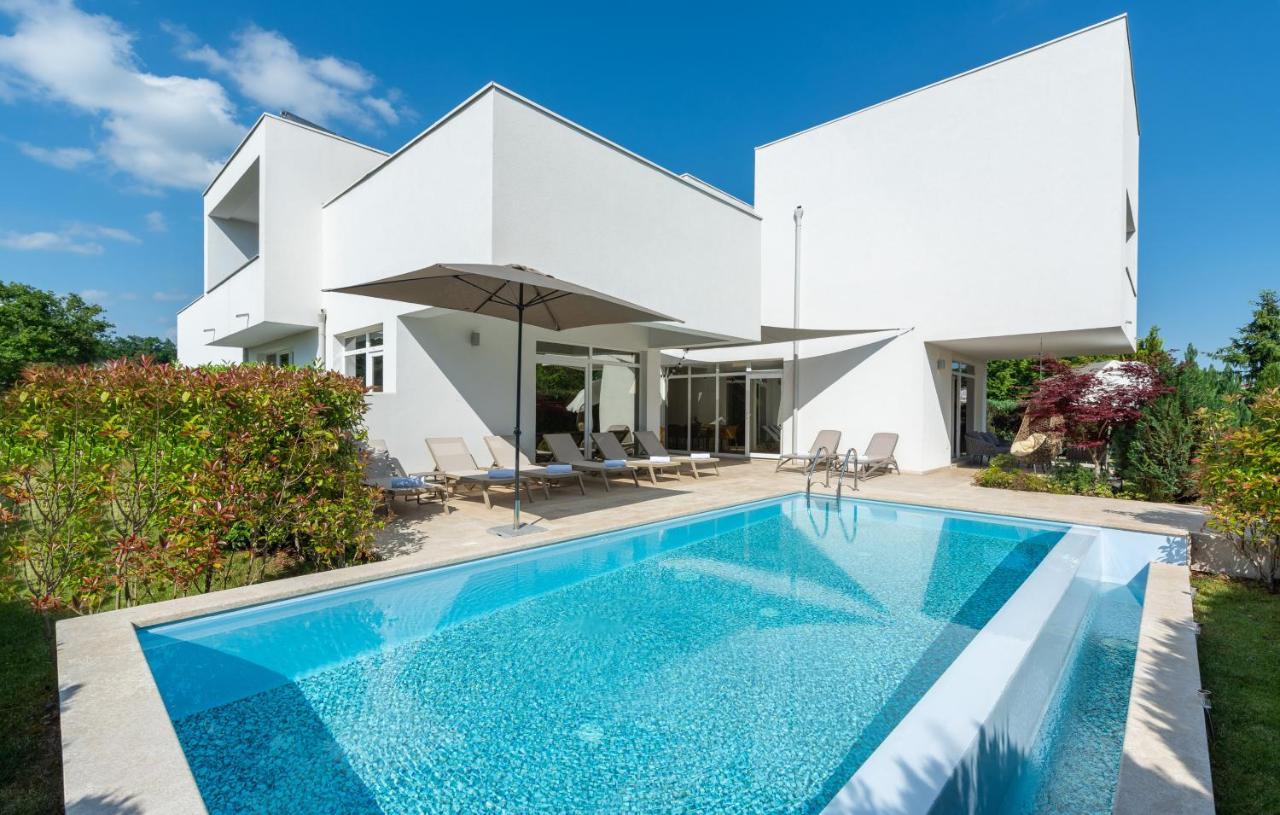 Villa Kate Istria Žminj Eksteriør billede