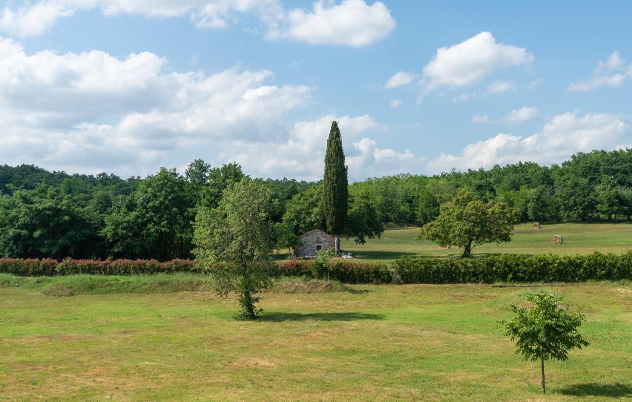Villa Kate Istria Žminj Eksteriør billede